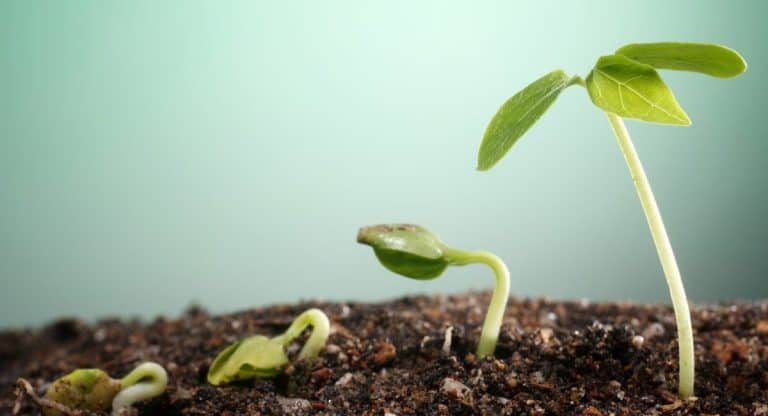 #20 8 conseils pour progresser en français + nouveau nom