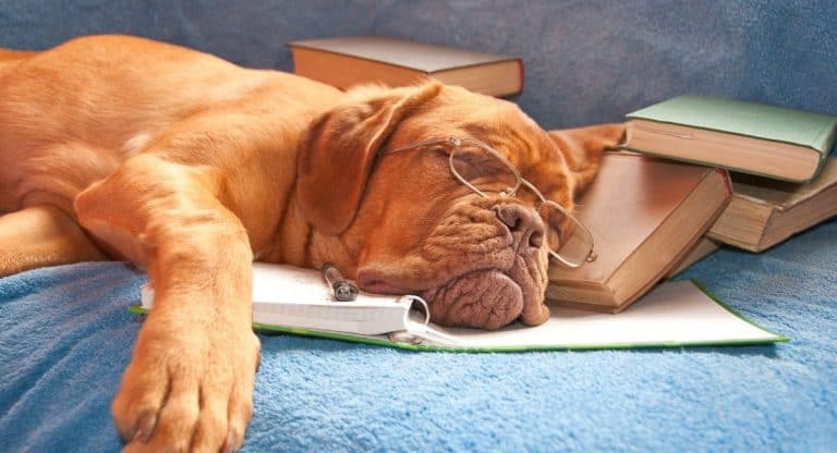 #54 Comment nous apprenons